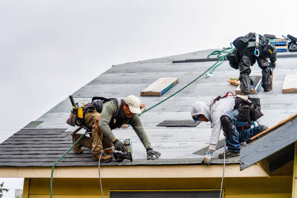 Professional Roofing technician working in New Auburn, MN